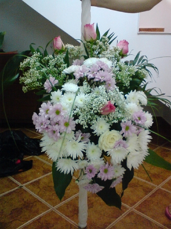 DSC00459.JPG