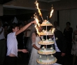 24_tort