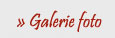 Galerie Foto HighLife Events